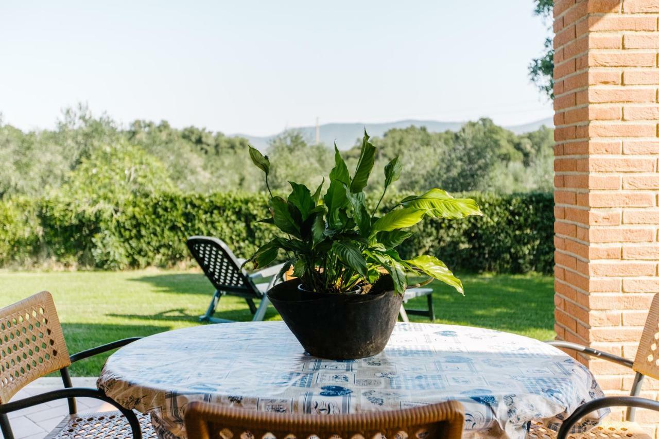 Agriturismo Casa Andreina Castiglione della Pescaia Εξωτερικό φωτογραφία