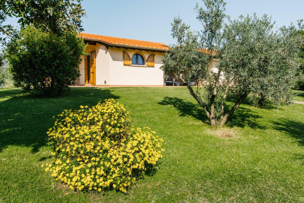 Agriturismo Casa Andreina Castiglione della Pescaia Εξωτερικό φωτογραφία
